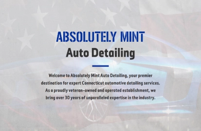 Entirtek website preview of Absolutely Mint Auto Detailing